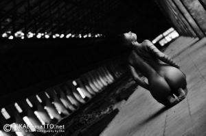 A34 A239334XYC1.jpg